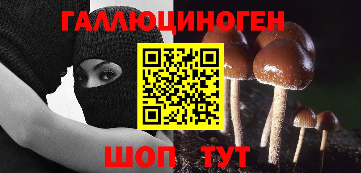 Галлюциногенные грибы Psilocybe  Вход с VPN  Псилоцибиновые грибы MAGIC MUSHROOMS  Нарткала 